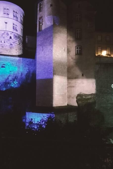 Appartement Au Pied Du Chateau Montbéliard Exterior foto